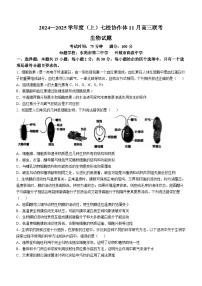 辽宁省七校协作体2024-2025学年高三上学期11月期中联考试题 生物 Word版含答案