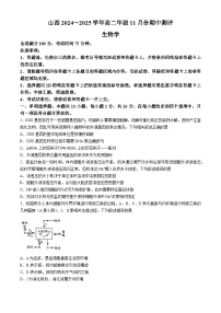 2025运城高二上学期11月期中考试生物含解析