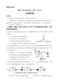 2025南充嘉陵一中高二上学期第二次月考（11月）生物试题PDF版含答案