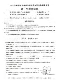 湖北省部分高中联考协作体2024-2025学年高一上学期11月期中考试生物试题（PDF版附答案）