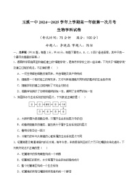 云南省玉溪市一中2024-2025学年高一上学期第一次月考生物试题（Word版附答案）