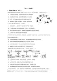 四川省成都市列五中学2024～2025学年高二(上)期中生物试卷(含答案)