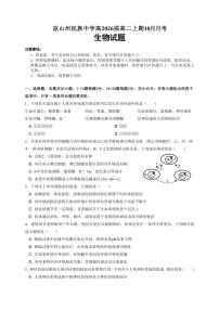 四川省凉山州民族中学2024～2025学年高二(上)10月月考生物试卷(含答案)