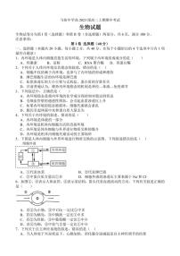 四川省合江县马街中学2024～2025学年高二(上)期中生物试卷(含答案)