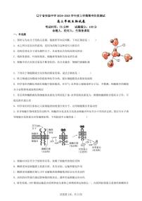 辽宁省实验中学2024-2025学年高三上学期期中考试生物试题