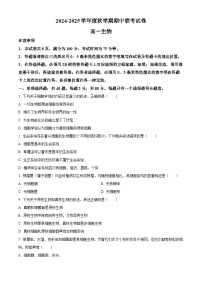 江苏省无锡市江阴市六校2024-2025学年高一上学期11月期中联考生物试卷（Word版附解析）