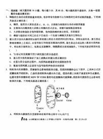 2025届安徽省1号卷A10联盟高三上学期11月考-生物试卷+答案