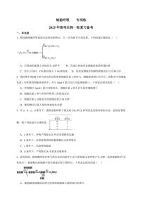 2025年高考生物一轮复习 细胞呼吸 专项练