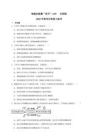 2025年高考生物一轮复习 细胞的能量“货币”ATP 巩固练