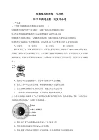 2025年高考生物一轮复习 细胞膜和细胞核 专项练