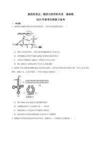 2025年高考生物一轮复习 基因的表达、基因与性状的关系 基础练