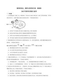 2025年高考生物一轮复习 基因的表达、基因与性状的关系 提高练