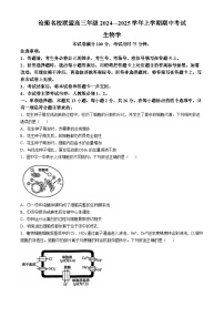 河北省沧州市沧衡名校联盟2024-2025学年高三上学期11月期中生物试题