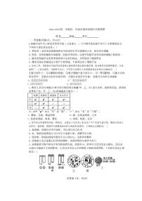 天津市第二十中学2024-2025学年高一上学期期中考试生物试题