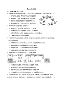 四川省成都市成华区某校2024-2025学年高二上学期期中考试生物试卷（Word版附答案）
