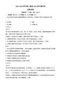 四川省成都市第七中学2024-2025学年高二上学期11月期中生物试卷（Word版附解析）