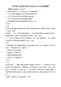 四川省广安市友谊中学2023-2024学年高二上学期10月月考生物试卷（Word版附解析）