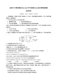 四川省宜宾市第三中学2024-2025学年高二上学期期中考试生物试卷（Word版附答案）