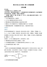 重庆市南开中学2024-2025学年高三上学期11月第三次质量检测生物试卷（Word版附解析）