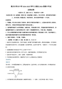 重庆市字水中学2024-2025学年高二上学期期中考试生物试卷（Word版附解析）