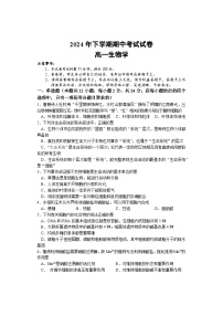 湖南省邵阳市武冈市2024-2025学年高一上学期期中考试生物试卷（Word版附答案）