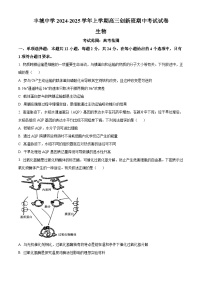 精品解析：江西省宜春市丰城市丰城中学2024-2025学年高三上学期期中考试生物试题（创新班）