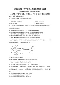 内蒙古赤峰元宝山区第一中学2024-2025学年高二上学期期中考试生物试题