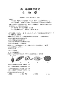 河北省唐山市部分学校2024-2025学年高一上学期11月期中联考生物试卷