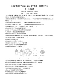 江苏省泰州市海陵区江苏省泰州中学2024-2025学年高一上学期11月期中生物试题