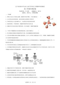 辽宁省实验中学2024～2025学年高三(上)期中生物试卷(含答案)