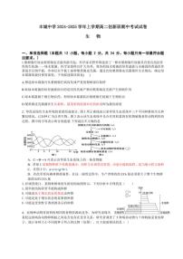 江西省丰城中学2024～2025学年高二(上)期中生物试卷(含答案)