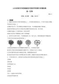 山东省泰安市肥城市肥城海亮外国语学校2024～2025学年高一(上)期中检测生物试卷(含解析)