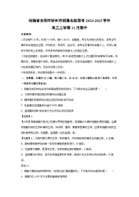 河南省安阳市林州市湘豫名校联考2024-2025学年高三上学期11月期中生物试卷（解析版）