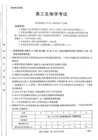 2025届甘肃青海宁夏金太阳百校联考高三上学期11月考-生物试卷+答案