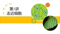 2025届高三生物一轮复习课件第1讲走近细胞