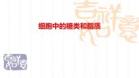 2025届高三生物一轮复习课件第二章第三节糖类，脂质