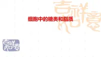 2025届高三生物一轮复习课件第二章第三节糖类，脂质
