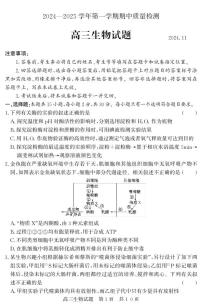 山东省济宁市兖州区2024-2025学年高三上学期期中考试生物试题