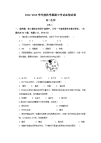 江苏省江阴市某校2024-2025学年高二上学期期中考试生物（必修）试题