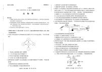 河南省部分学校大联考2024-2025学年高二上学期11月期中生物试题