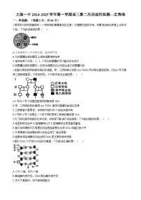 天津市滨海新区大港第一中学2024-2025学年高三上学期11月期中生物试题