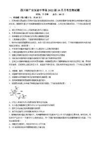 四川省广安友谊中学2024-2025学年高三上学期10月月考生物试题