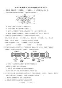 广西壮族自治区玉林市2024-2025学年高二上学期11月联考生物试题