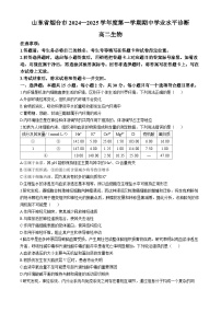 山东省烟台市2024-2025学年高二上学期期中考试生物试卷（Word版附答案）