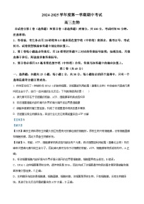 山东省青岛市黄岛区2025届高三上学期11月期中考试生物试卷（Word版附解析）