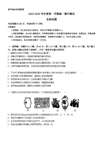 广东省阳江市高新区2024-2025学年高一上学期11月期中考试生物试卷（Word版附答案）