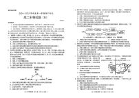 山东省菏泽市2024-2025学年高三上学期期中考试生物试题（B卷）