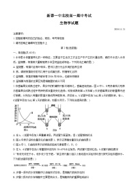 山东省新泰市第一中学北校2024~2025学年高一上学期11月期中考试生物试题