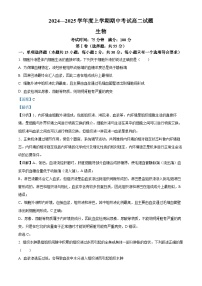 辽宁省名校联盟2024-2025学年高二上学期11月期中考试生物试卷（Word版附解析）