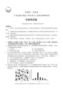 2025届广西壮族自治区毕业班高三上学期11月联考生物试题